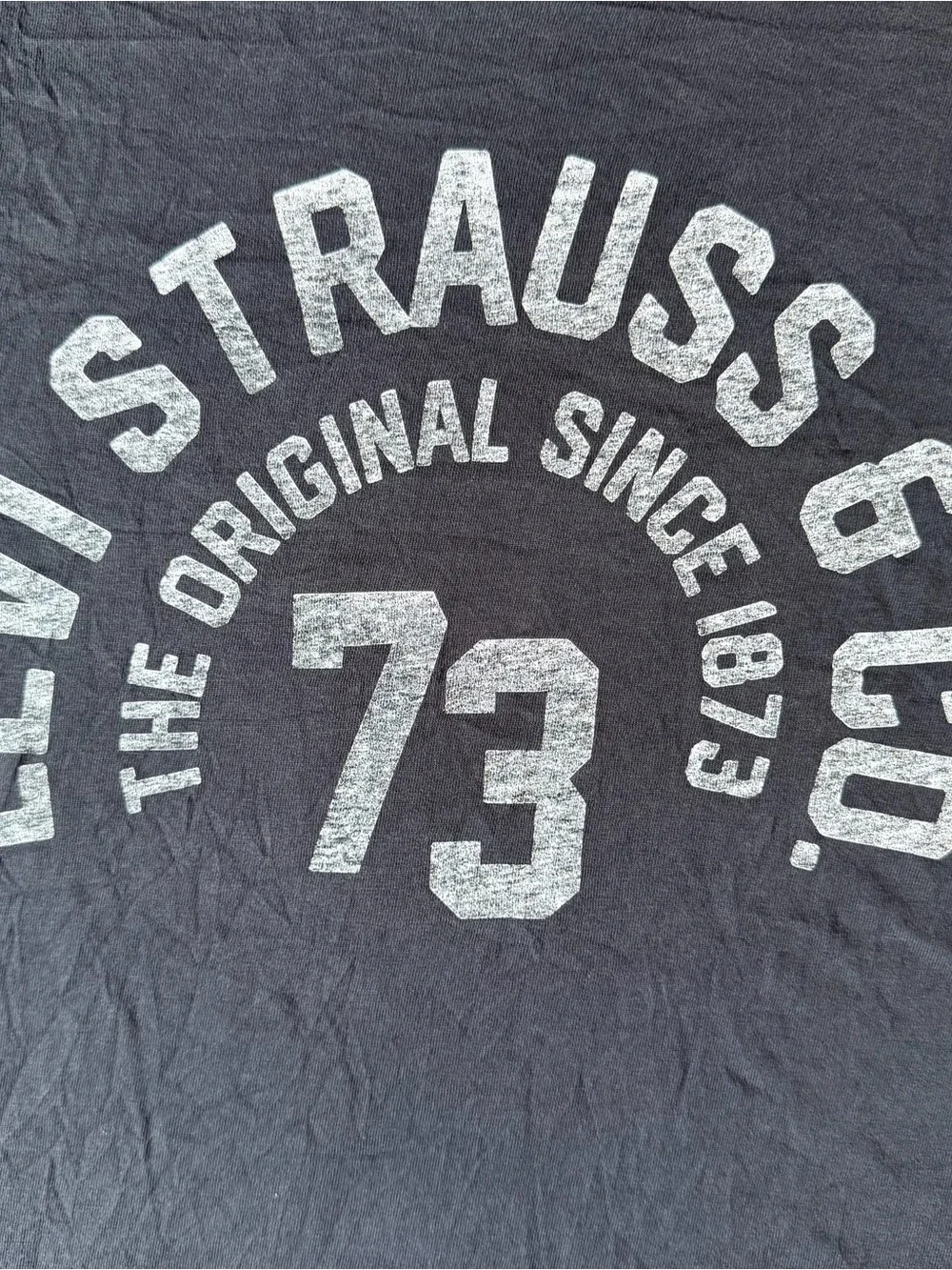 Levi's Men's Charcoal Gray Graphic '73 Crewneck Tee